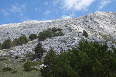 Biokovo Bukovac