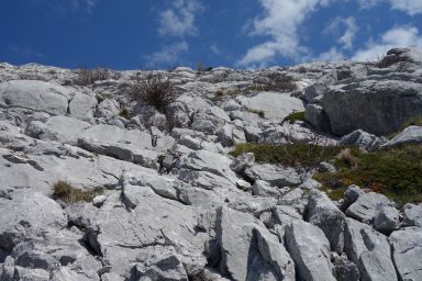 Biokovo na stazi Bukovac - Zec - Čorlina - Šćirovac