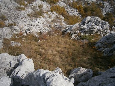Okrugli dolac