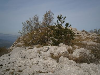 Dva Stabalca
