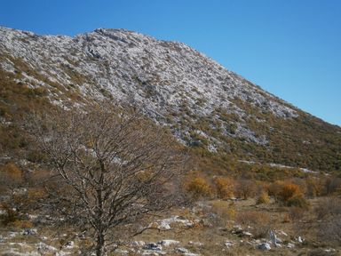 Mosor izvan Staze