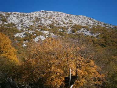 Mosor izvan Staze