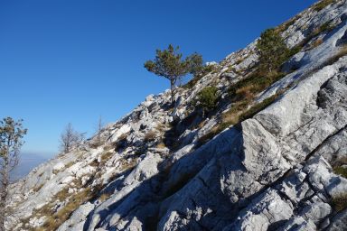 Biokovo na stazi Sveti Ilija - Osičine