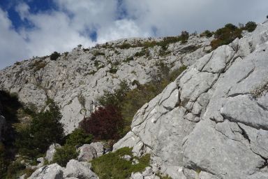 Biokovo na Stazi, Topići - Vrata Topola
