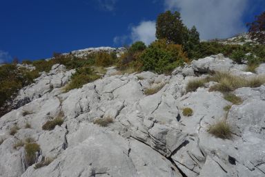 Biokovo izvan Staze, Kamenita polica - Čorlina