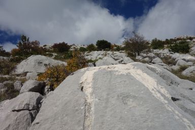 Biokovo izvan Staze, Kamenita polica - Čorlina