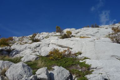 Biokovo izvan Staze, Kamenita polica - Čorlina