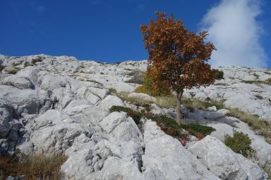 Biokovo izvan Staze, Kamenita polica - Čorlina