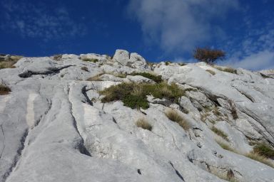 Biokovo izvan Staze, Kamenita polica - Čorlina
