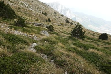 Biokovo na Stazi, Vrataca - Topići