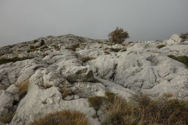 Biokovo na Stazi, Vrataca - Topići