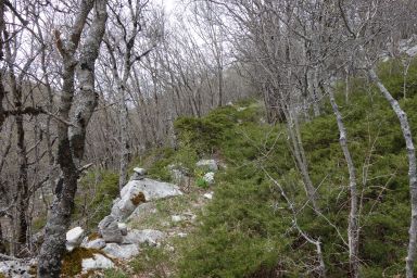 Biokovo na stazi Sveti Roko - Sutvid
