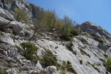 Biokovo na stazi Topići - Sveti Ilija