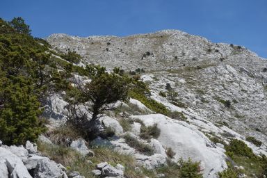 Biokovo na stazi Topići - Sveti Ilija