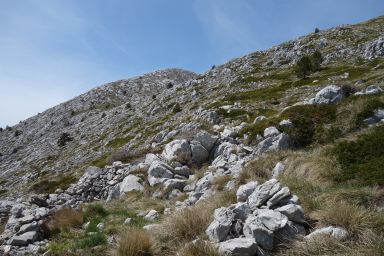 Biokovo na stazi Topići - Sveti Ilija