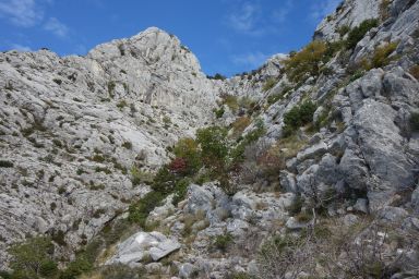 Biokovo na stazi Topići - Vrata Topola