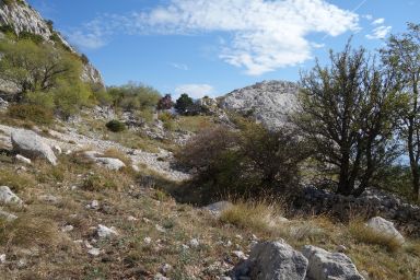 Biokovo izvan staze, Vrata Topola - Bukovac