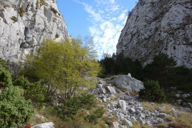 Biokovo izvan staze, Vrata Topola - Bukovac