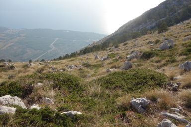 Biokovo na stazi Vrataca - Topići