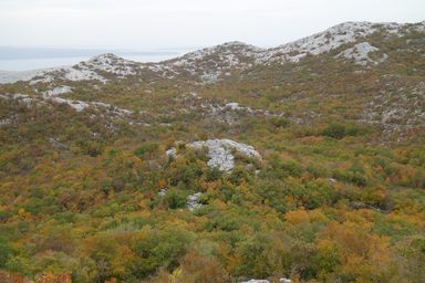 Grebenac Donji