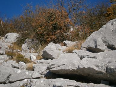između 1b i 1c
