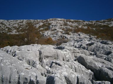Grebenac