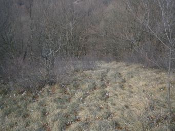 Samoborsko gorje - Mali Oštrc