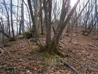 Samoborsko gorje - Mali Oštrc