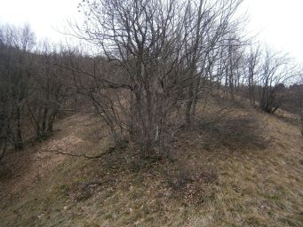 Samoborsko gorje - Mali Oštrc