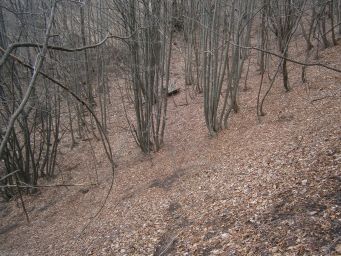Samoborsko gorje - Mali Oštrc